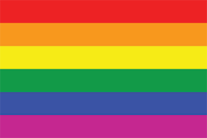 lgbtq flag